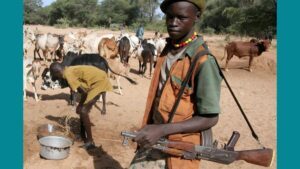 Un éleveur armé dans le sud du Tchad